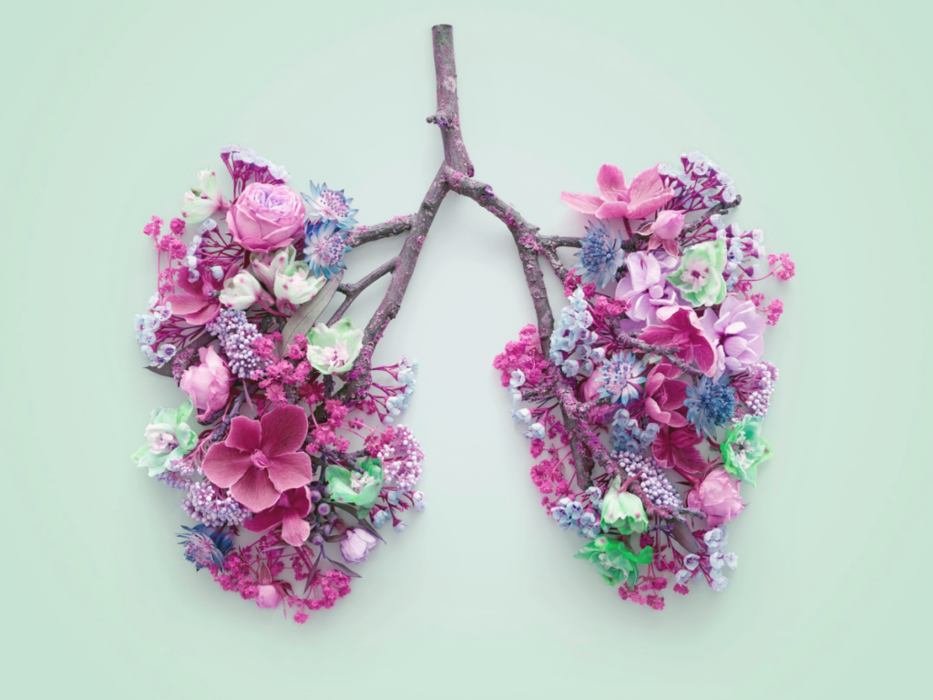 JenBellYoga Breathing Physiology