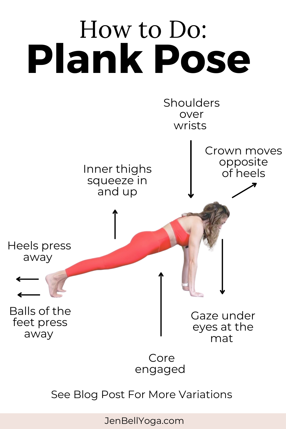 6 Ways to do Plank Pose for beginners and Fitness fanatics + Anatomy ...